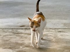 -沙头涌渔栏海鲜餐厅