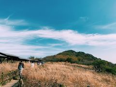 -白草畔自然风景区
