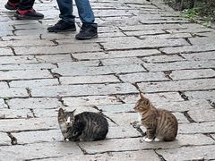 -沈阳辉山风景区