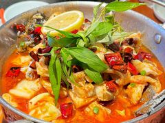 -菌自由丨野生菌火锅特色庭院餐厅(丽江古城店)