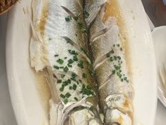 -蟹天蟹地农家菜·阳澄湖大闸蟹(浅水湾店)
