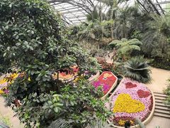 -南山植物园