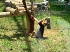 -西安秦岭野生动物园