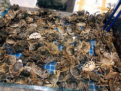 -半岛听涛蒸汽海鲜自助(K11店)