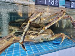 -本达人海鲜烧烤·朝鲜族风味(发展店)