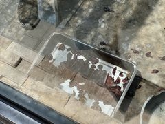 -北宫国家森林公园