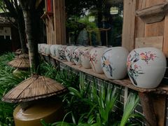 -青城甲(青城山店)