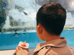 -帝企鹅自助餐厅•儿童岛•真企鹅(长隆企鹅酒店)