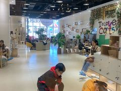 -藏猫猫咖啡主题馆(中央大道店)