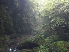 -碧峰峡风景区