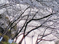 -杭州少年儿童公园