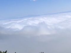 -云南屏边大围山国家公园