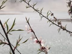-佛掌沙丘