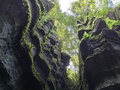 -梭布垭石林景区