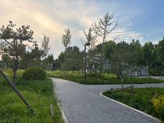 -回龙观体育文化公园