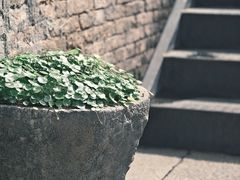 -德云居
