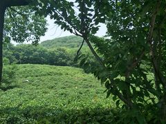 -南京市江宁方山