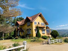 -黄色小屋