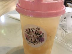 -Husky Go! 哈士奇体验馆·宠物咖啡厅狗咖