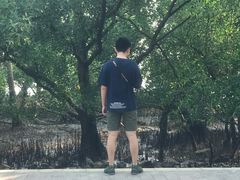 景点-宝安西湾红树林湿地公园