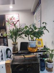 -青青一生美皮肤管理