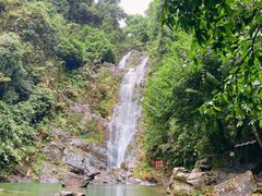 -鼎湖山风景区