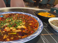 -新概念来凤鱼(璧山店)