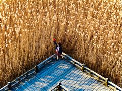 -野鸭湖国家湿地公园