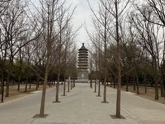-古塔公园
