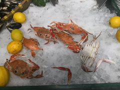 -富虹国际海鲜自助餐