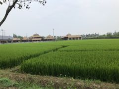 -乌村