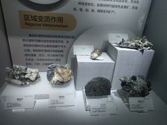 -湖南省地质博物馆