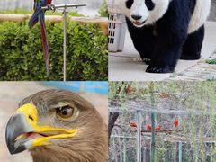 -石家庄市动物园