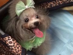 iphone_upload_pic-东浩兰生上海世博展览馆