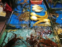 -大东海海鲜酒楼(渔人码头总店)