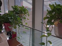 -东东鲜芋圆(郑州店)