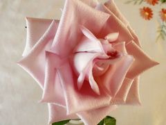 -花·fleur古董西餐厅(西城夜未央店)