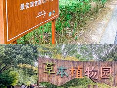 -同里国家湿地公园