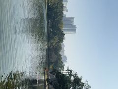 -荔湾湖公园
