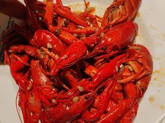 -星伦多 自助料理(圆融店)