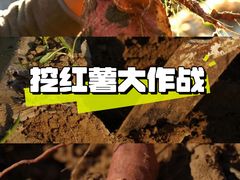 -秀沿路(地铁站)