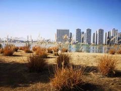 -灞河西岸滨河公园