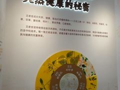 -珠海圆明新园