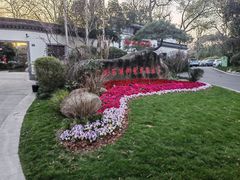 -杭州西湖柳莺里酒店·闻莺厅