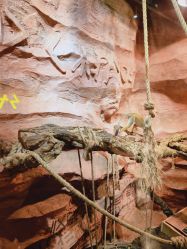 -Zoolung Zoolung动物主题公园(海信广场店)