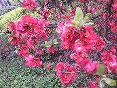 -长安大学(北校区)