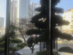 -浅深Cheersum(曹杨店)