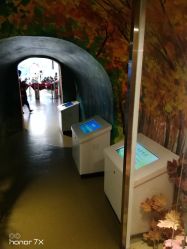 点击看大图 -北京科学中心儿童乐园