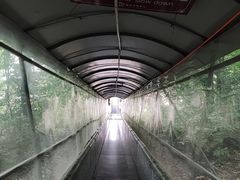 -香炉山国家森林公园