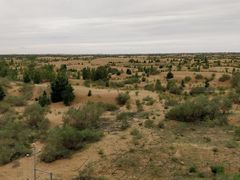 -亿利库布其七星湖沙漠生态旅游区